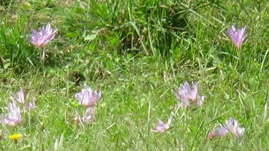 DSC00469_original